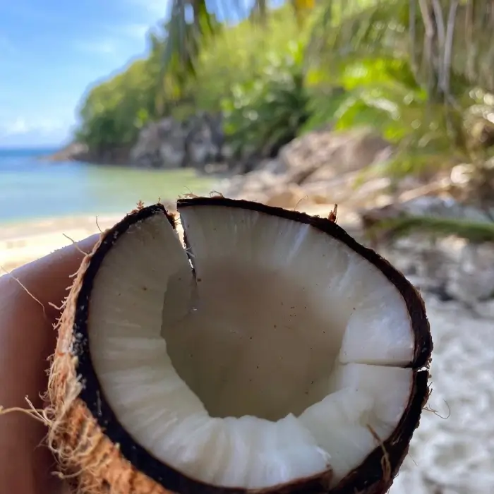 kokosnoot rapen Seychellen