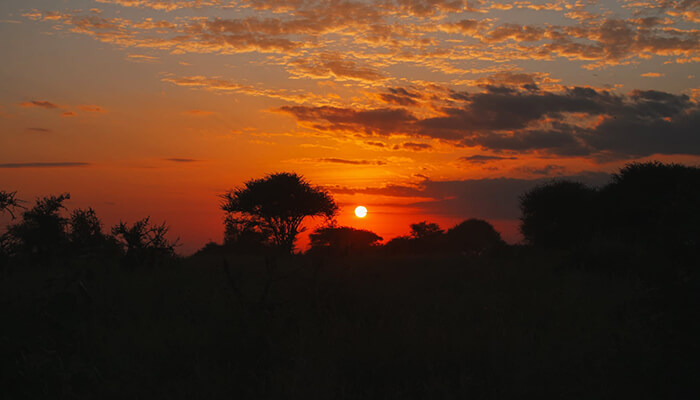 Lake Nakuru