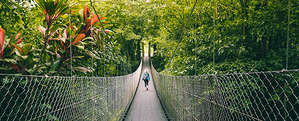 Rondreis in Costa Rica