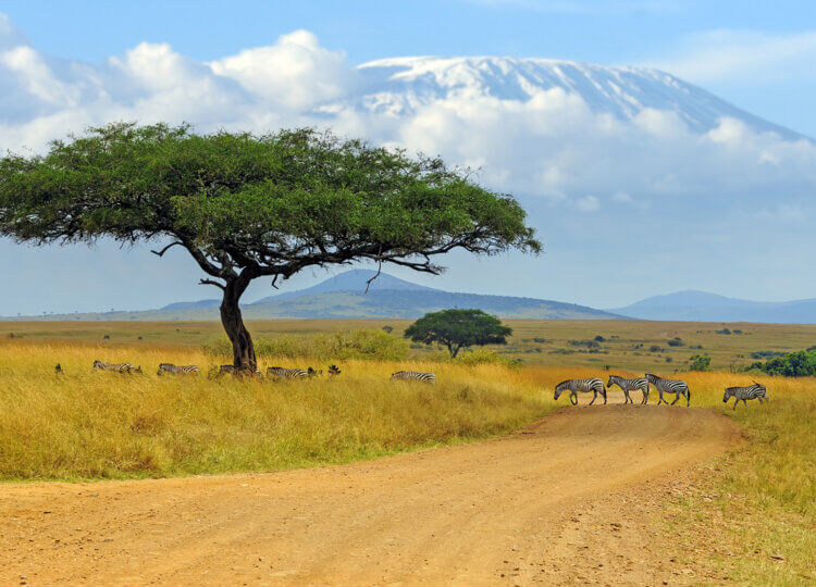 vakantie naar Kenia