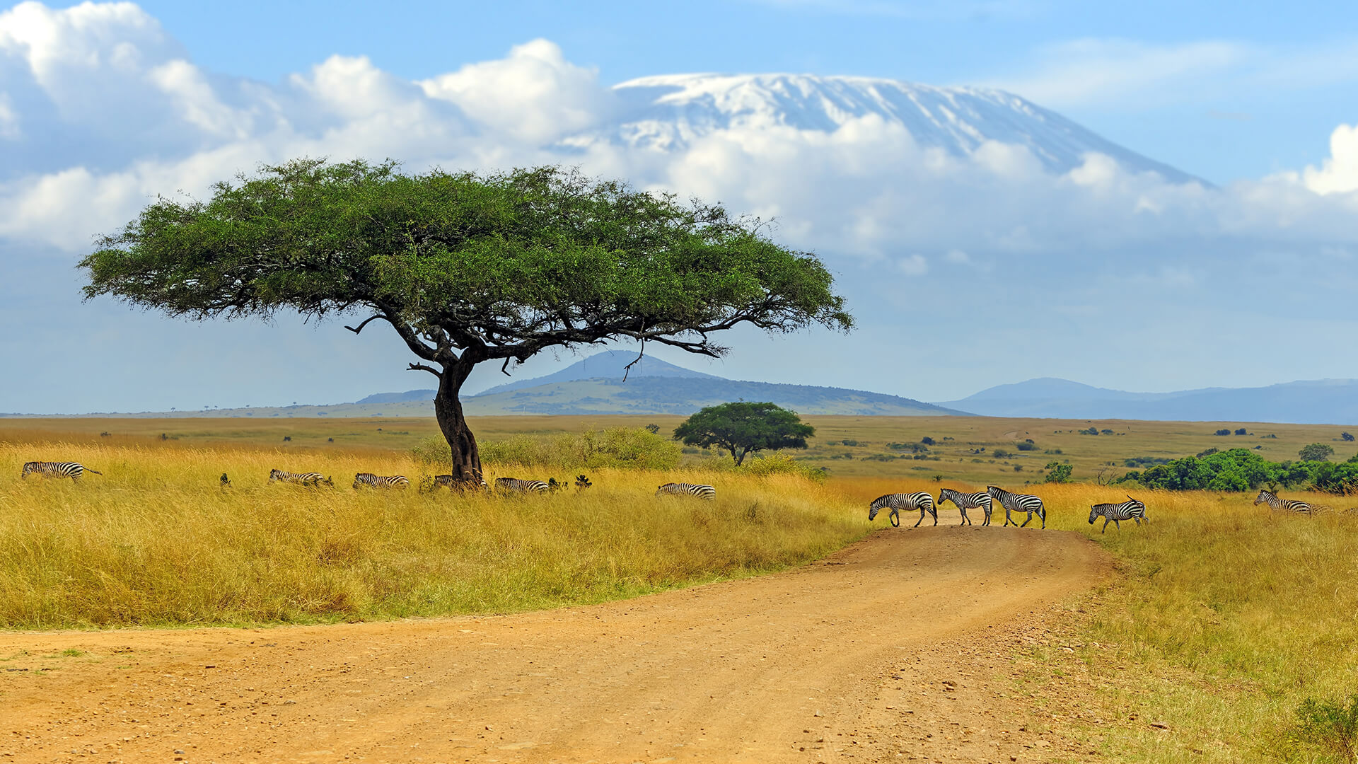 vakantie naar Kenia