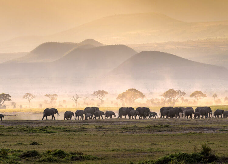 vakantie naar Tanzania