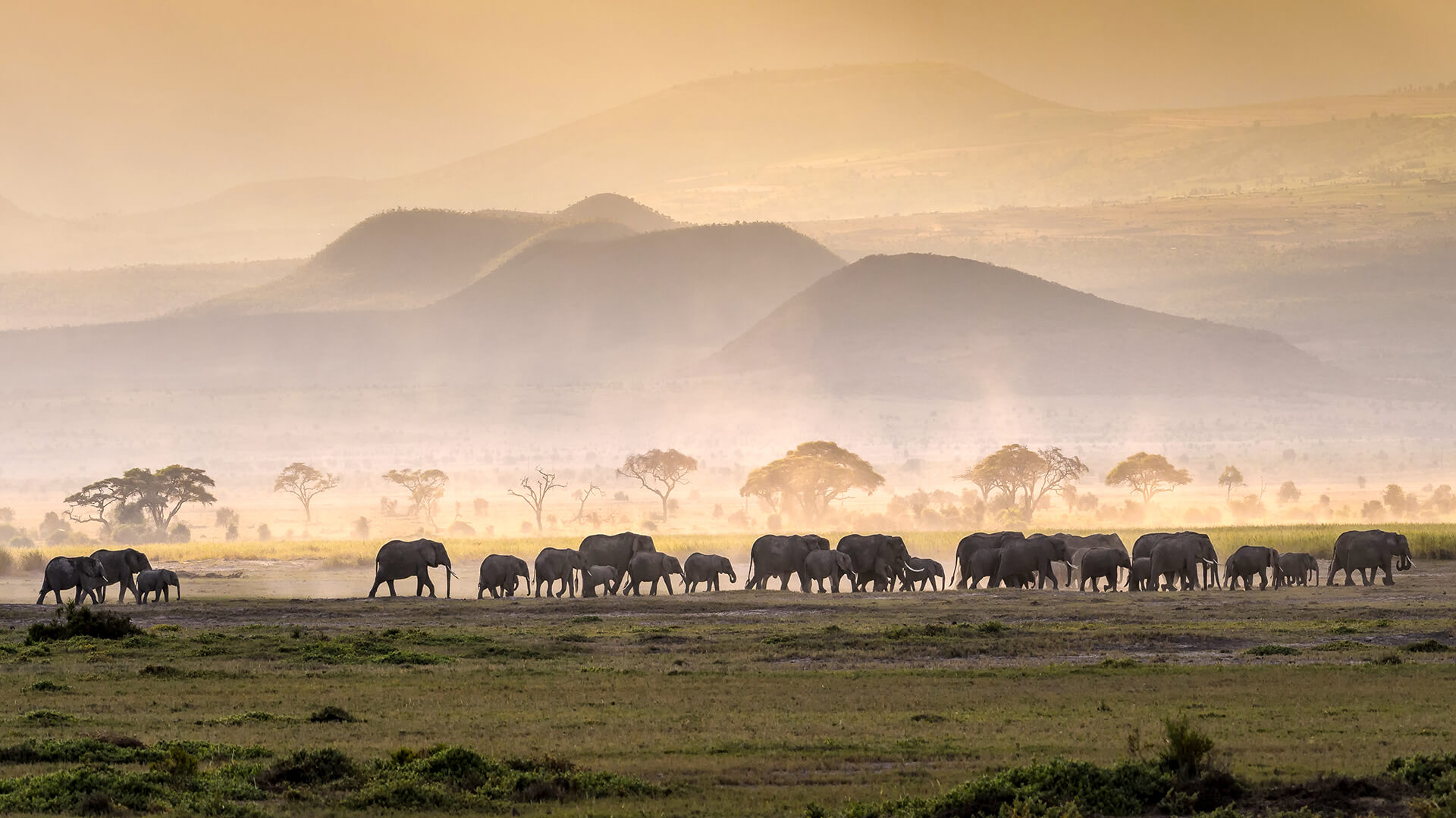 vakantie naar Tanzania