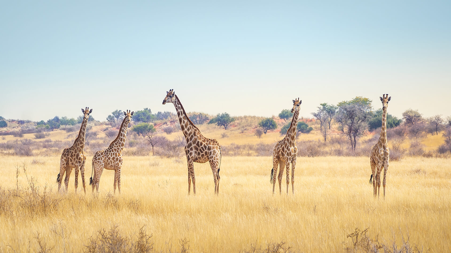 Vakantie naar Zuid-Afrika