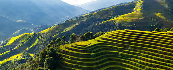 Vakantie naar Vietnam